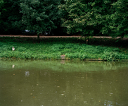 840050 Afbeelding van een deel van de Stadsbuitengracht met beschoeiing en begroeiing vanaf de Tolsteegsingel te Utrecht.